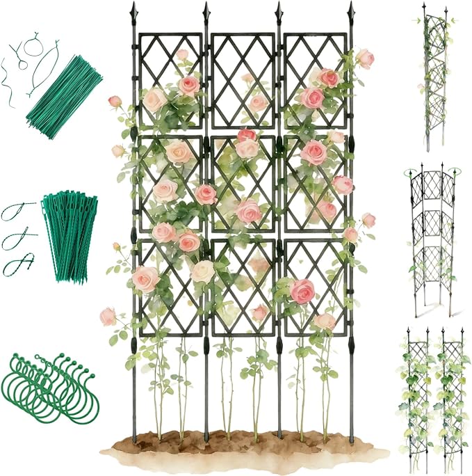 Garden Trellis for Climbing Plants Outdoor by Unknown