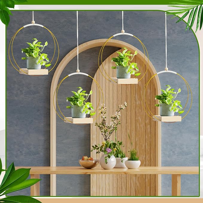 Geelin 4 Pack Plant Hanger - Image 4