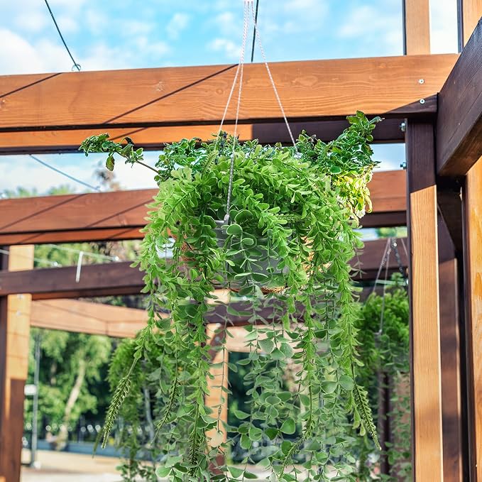 Tioncy 50 Pcs Plastic Hanging Planter Round Hanging Pot - Image 6