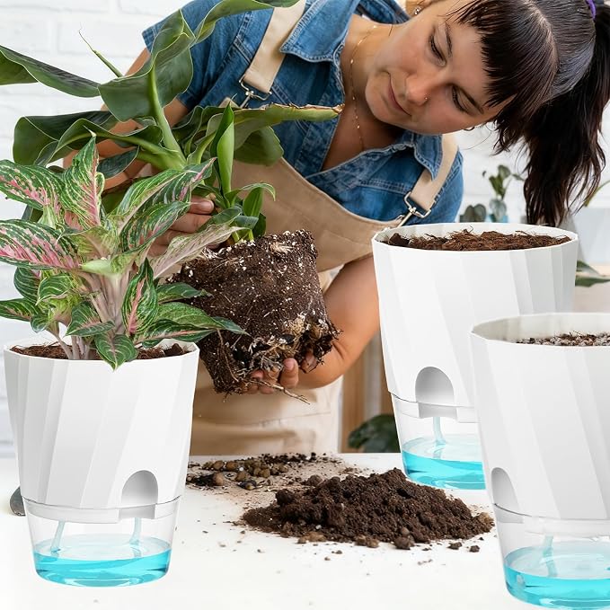 KIMCHOMERSE Self Watering Plant Pots, 6 Inch Plant Pots White, 3 Pack Flowers - Image 7