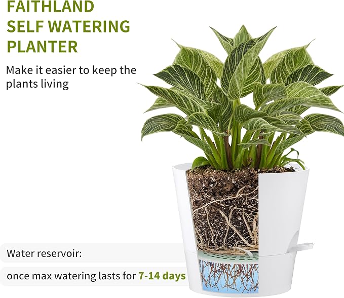 FaithLand 6-Pack White Self Watering Planter Pots - Image 3