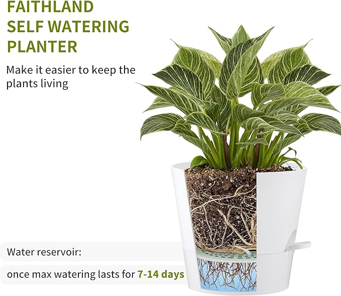 FaithLand 2-Pack 10 Inch Planter Pots - Image 3