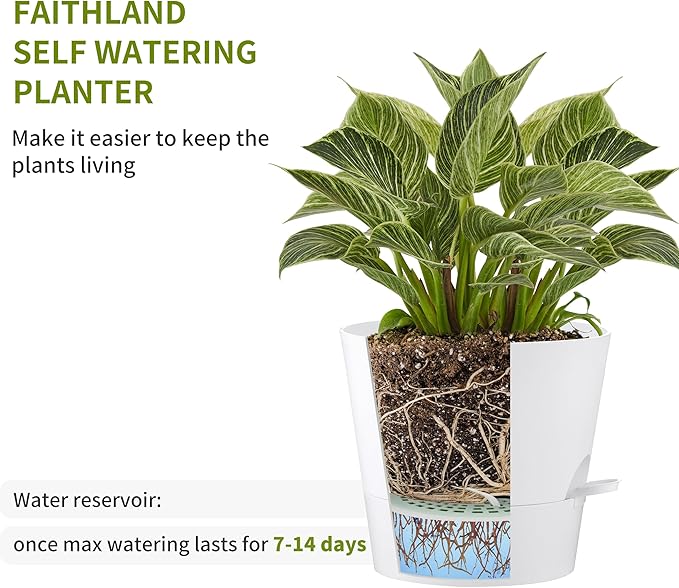 FaithLand 2-Pack 8 Inch Planter Pots - Image 3