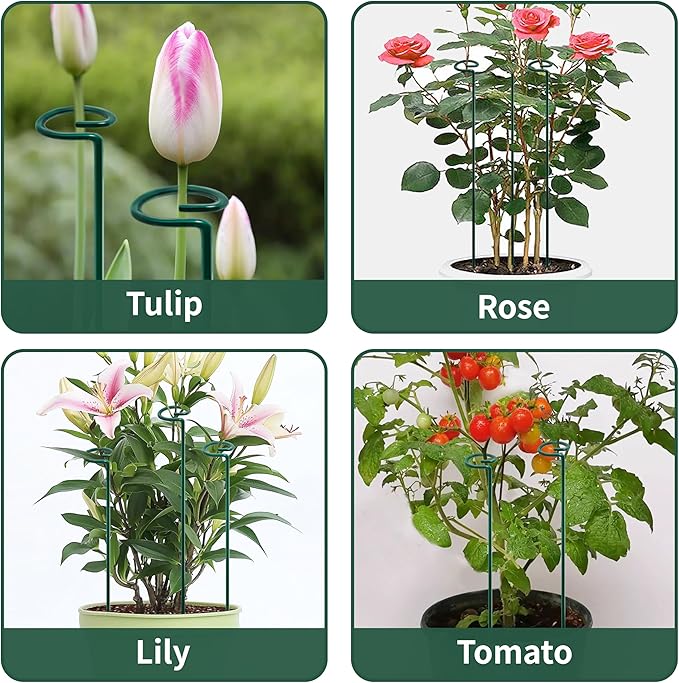 36” Tall Plant Stakes, 6 Pack Plant Support Stakes, 6mm Heavy-Duty Metal Garden - Image 6