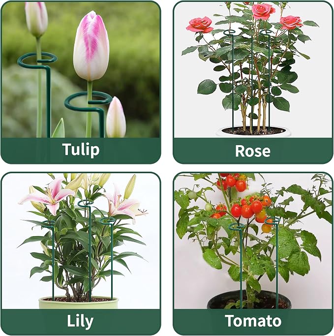 36” Tall Plant Stakes, 12 Pack Plant Support Stakes, 6mm Heavy-Duty Metal - Image 6
