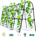 Cucumber Trellis for Raised Bed, U-Shape Garden Arch Metal Support for Climbing by Laodier