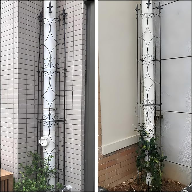 Garden Trellis 2 Pack 72'' H x 12'' W Metal Plant Trellis Indoor/Outdoor Metal - Image 7