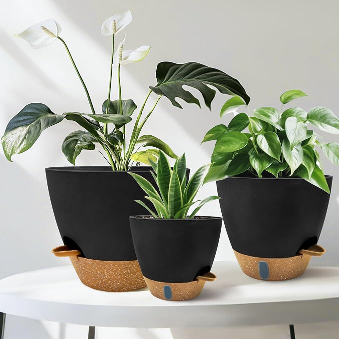 12/10/9/8 inch Self Watering Pots - Image 7