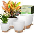Self-Watering Pots for Indoor Plants 4 Pack, 6/8/10/12 Inch Outdoor Planters by GOPROAUTO