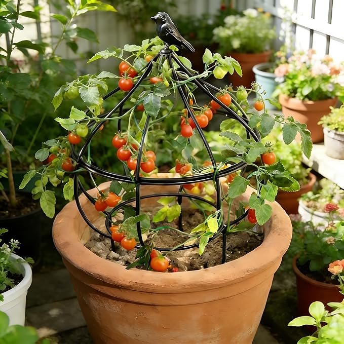 Sturdy Metal Garden Obelisk Trellis - Image 7
