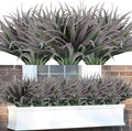 16Pcs Artificial Grass Fake Plants 17.3in Outdoor Plants UV Resistant Faux by Phliofd