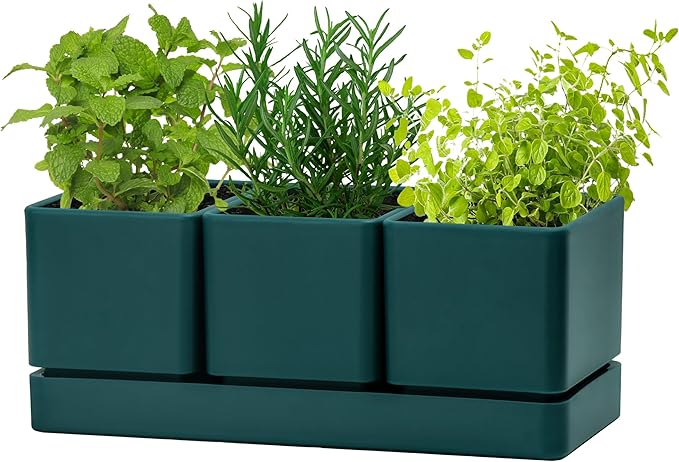 D'vine Dev Herb Garden Planter Set, Plastic Plant Pots by DvineDevPlanterPotsandStand