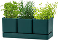 D'vine Dev Herb Garden Planter Set, Plastic Plant Pots by DvineDevPlanterPotsandStand