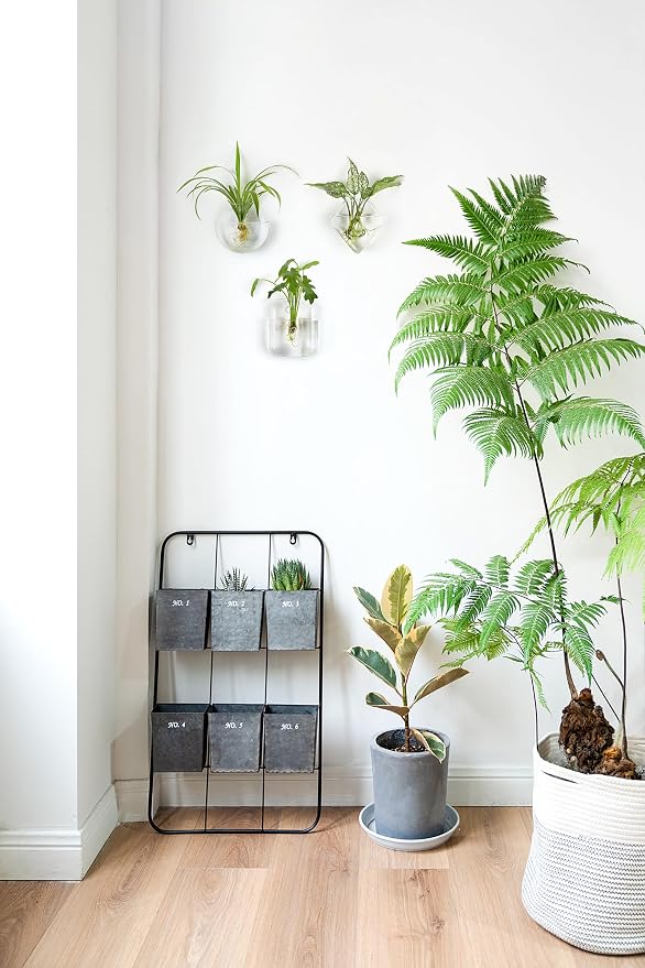 Mkono Wall Planter Propagation Stations Hanging Glass Terrariums Vase Container - Image 7