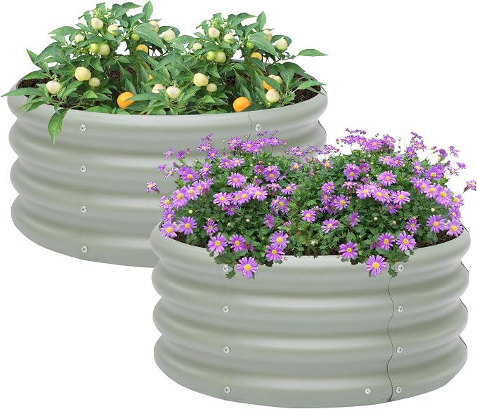 2-Pack 2x1ft Galvanized Raised Garden Bed, Outdoor Planter Bed, Metal Planter by Besebay