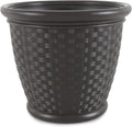 Suncast Sonora 18 Inch Lightweight Durable Plastic Wicker Decorative Flower by Suncast
