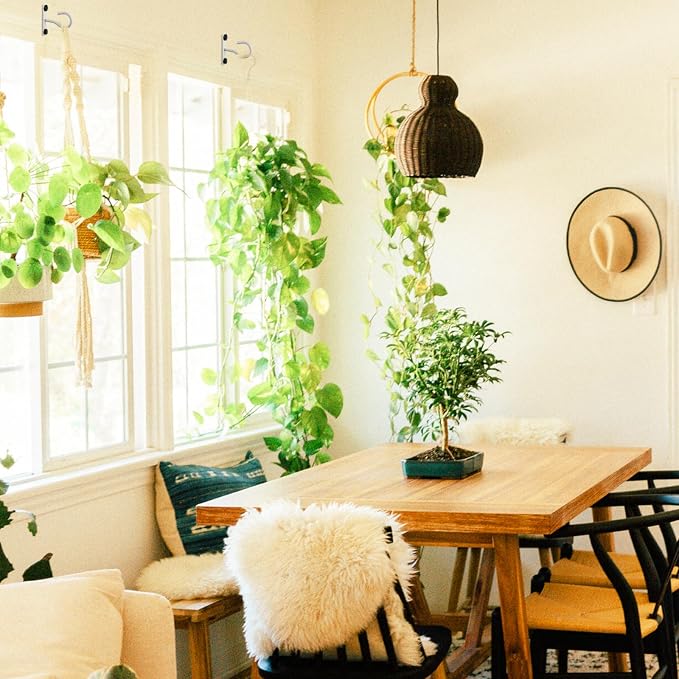 4Pack 2.5Inch Ceiling Hooks for Hanging Plant, Hanger for Indoor and Outdoor - Image 8