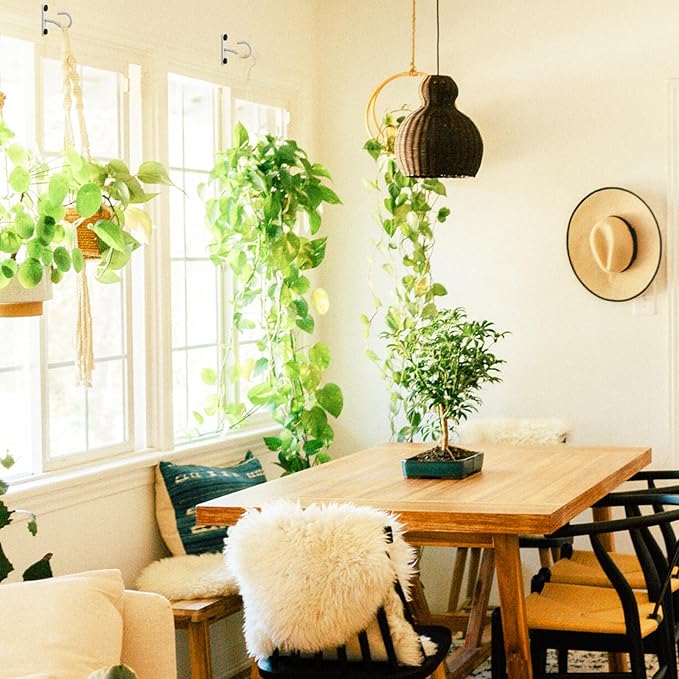 2Pack 2.5Inch Ceiling Hooks for Hanging Plant, Hanger for Indoor and Outdoor - Image 5