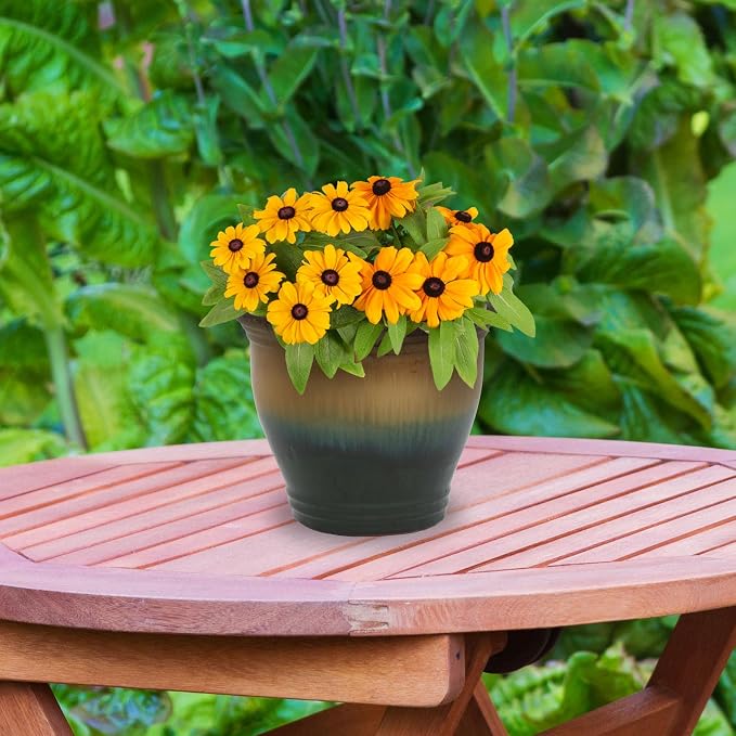 Sunnydaze Round Ceramic Planter - Image 9