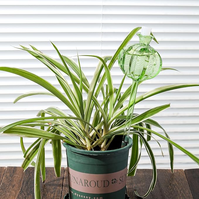 Self Watering Planter Insert. Plant Watering Devices. 3-Pack Cactus Plant - Image 7