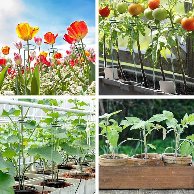 24 Inch 12 Packs Plant Support Stakes, Garden Single stemmed Plant Support Hoops - Image 5