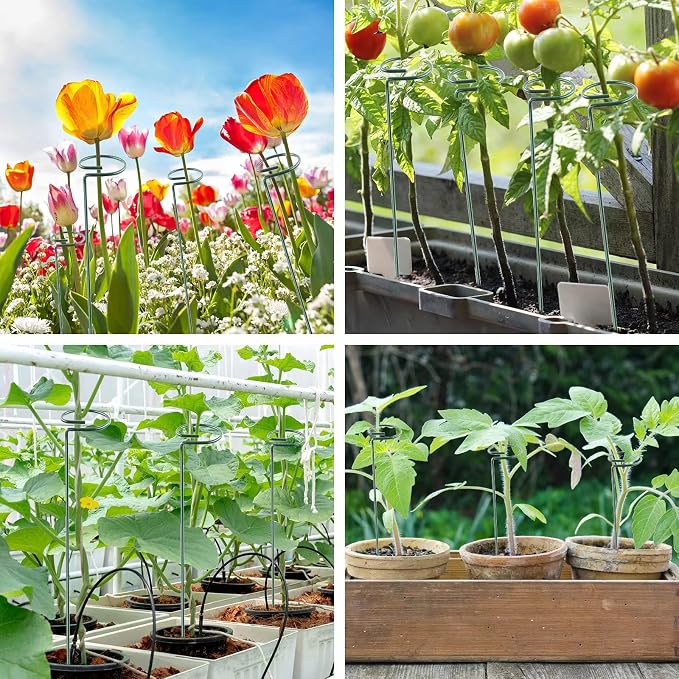 12 Pack 16 Inch Plant Support Stakes, Metal Single stemmed Flower Support - Image 5