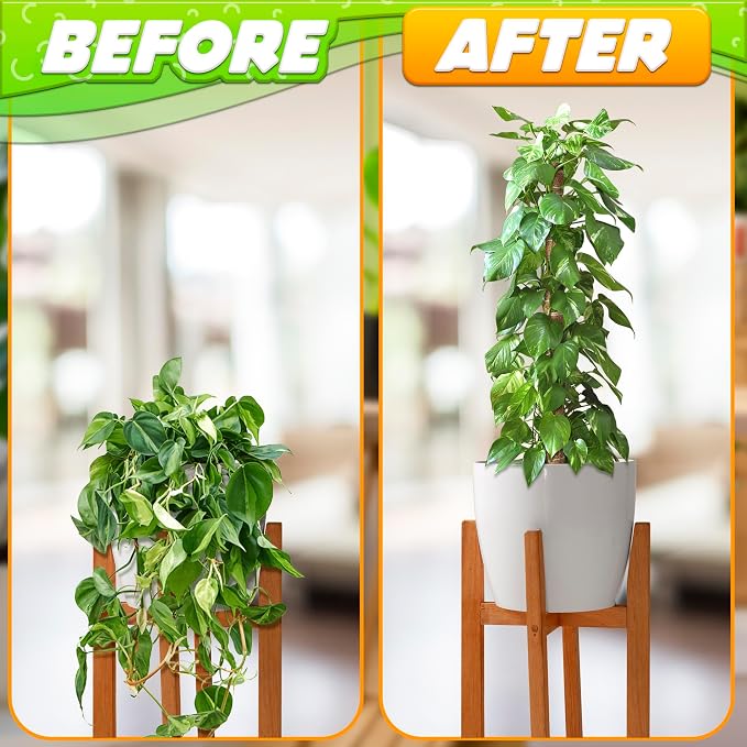 Moss Pole 26.4" Small Monstera Plant Support 2 Pcs Set - Image 7