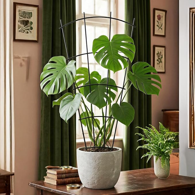 4 Pack 23'' Indoor Plant Trellis - Image 4