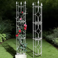 Garden Trellis 2 Pack 72'' H x 12'' W Metal Plant Trellis Indoor/Outdoor Metal by ThealynGardens
