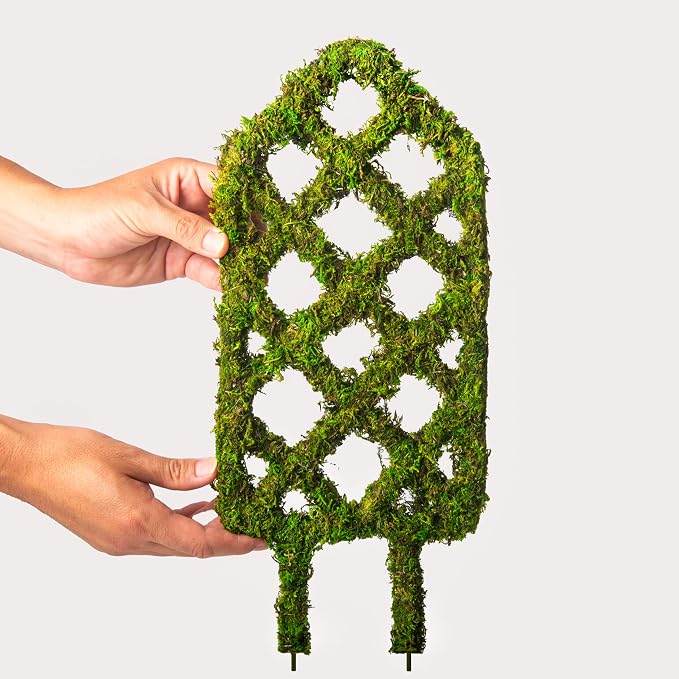 SuperMoss Plant Trellis - Image 2