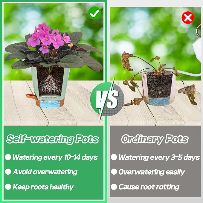 5in Self Watering Pots for Indoor Plants - Image 3
