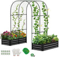 DoCred 3 in 1 Raised Garden Bed by DoCred