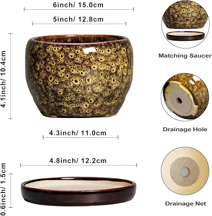 SQOWL 6 Inch Plant Pot - Image 3