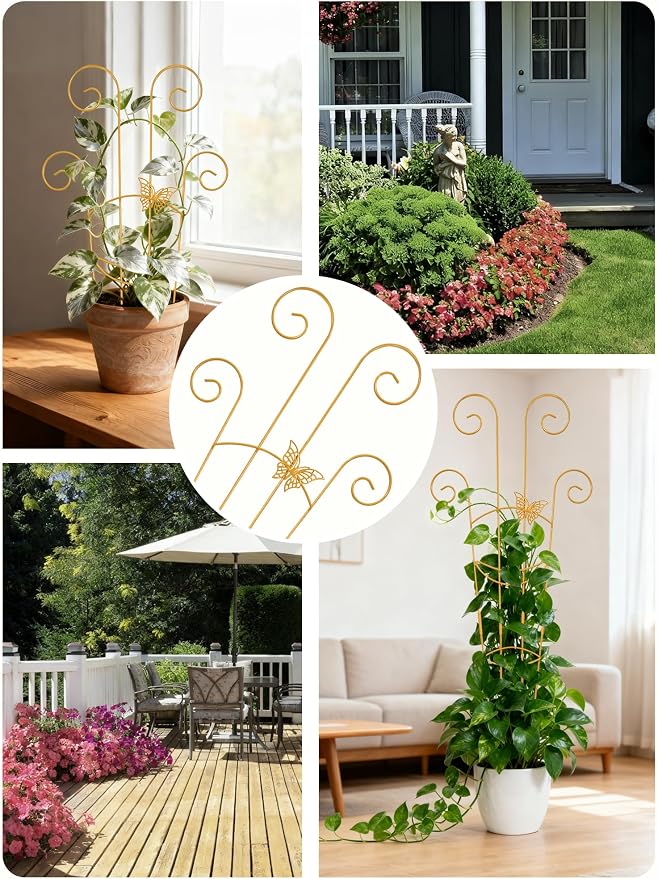 4Pcs Indoor Plant Trellis for Potted Plants, Houseplant Support Stakes for Ivy - Image 6