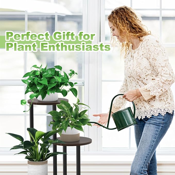 Plant Stand Indoor, 4 Tier Thickened Metal Corner Plant Shelf - Image 7