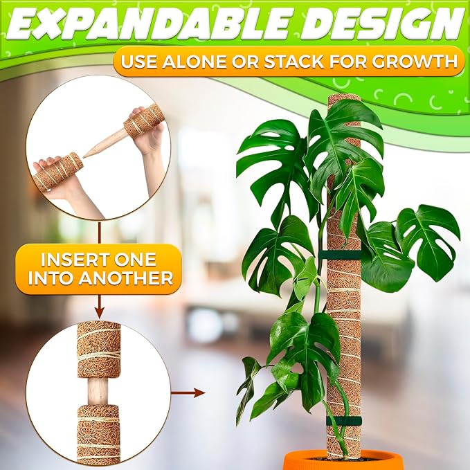 Moss Pole 26.4" Small Monstera Plant Support 2 Pcs Set - Image 9