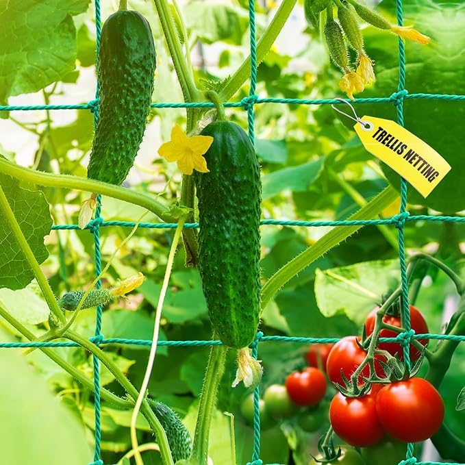 Trellis Netting, Heavy Duty Garden Trellis Netting by SHPPETONB