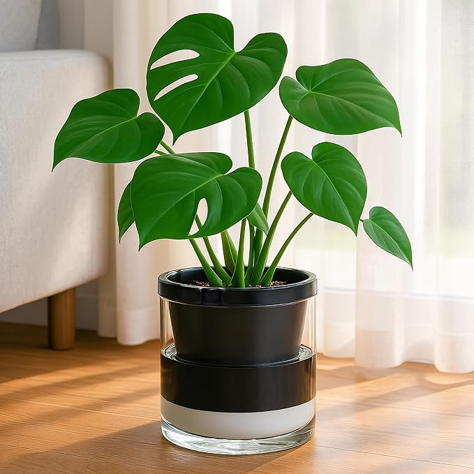 D'vine Dev 8 Inch Design Self Watering Planter - Image 4