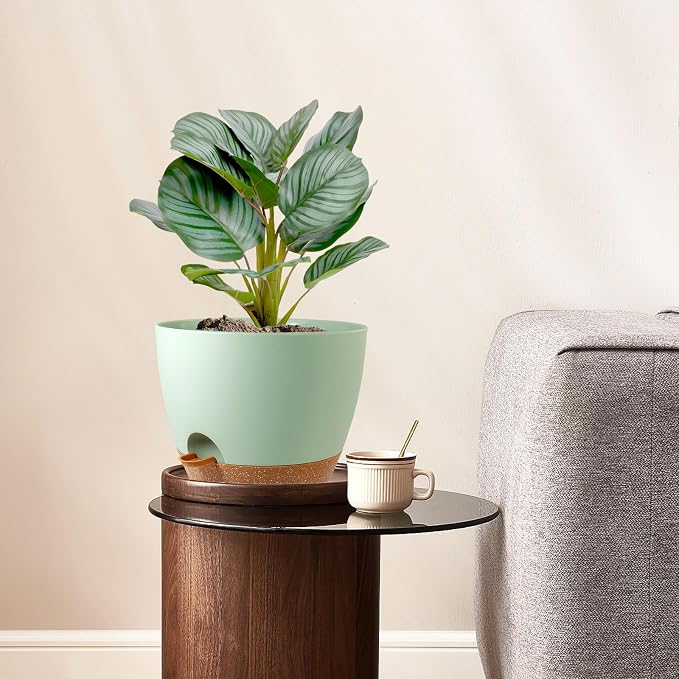 8 inch Self Watering Pots, 2 Pack Plastic Planters - Image 2