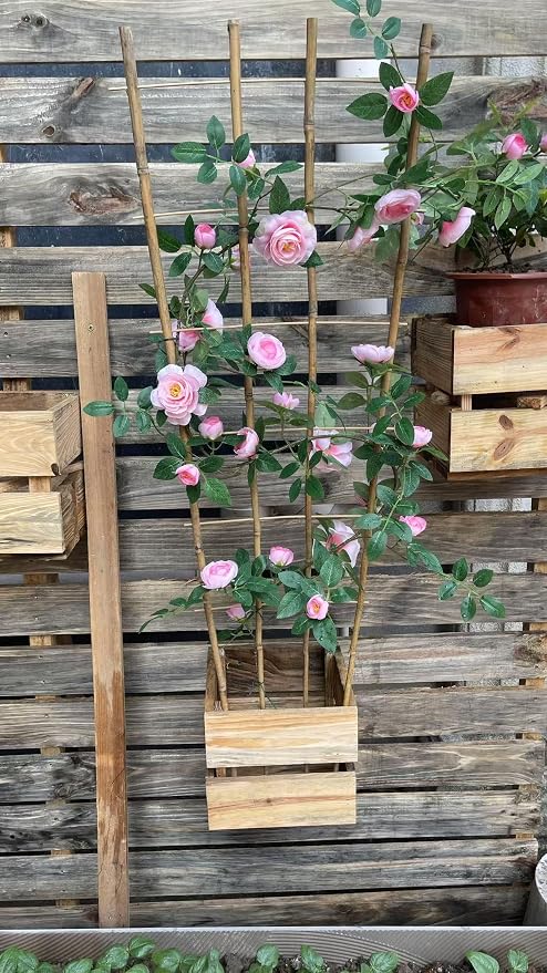 Natural Bamboo Trellis, Fan-Shaped Plant Support Trellis - Image 7