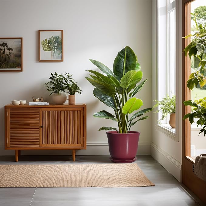 Ceramic Plant Pots - Image 3