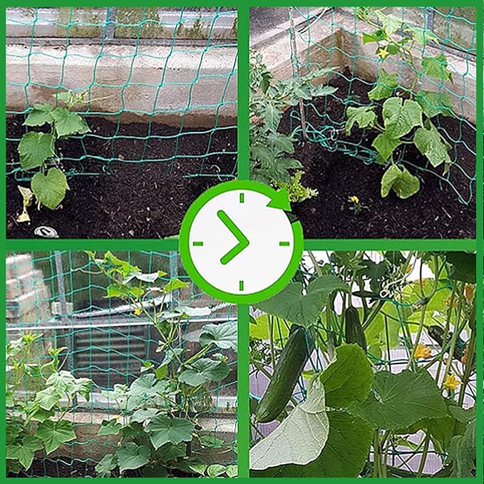 Trellis Netting for Climbing Plants - Image 4