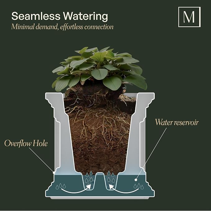 Mayne Nantucket 20-Inch Square Planter – Self-Watering, Weather-Resistant - Image 2