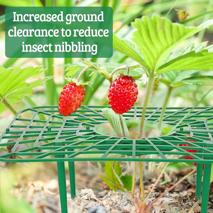 4 Sets Strawberry Plant Support - Image 6