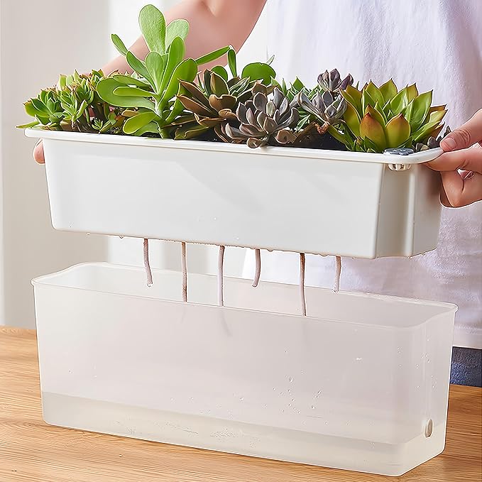 FAMZ Self Watering Pots for Indoor Plants 3 Pack Transparent Rectangular - Image 2