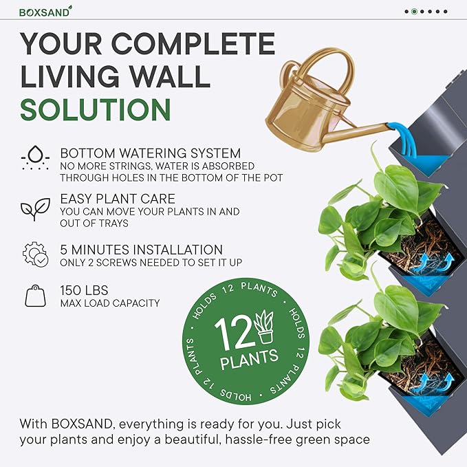 BOXSAND-12 Vertical Wall Planter - Image 6