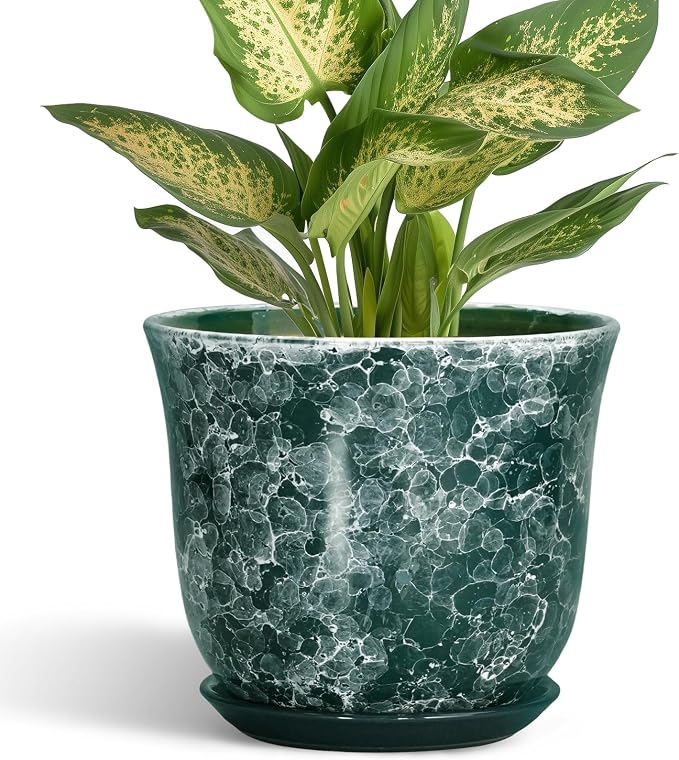 Ceramic Pots for Plants by SUNPOTFOR