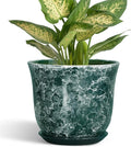 Ceramic Pots for Plants by SUNPOTFOR