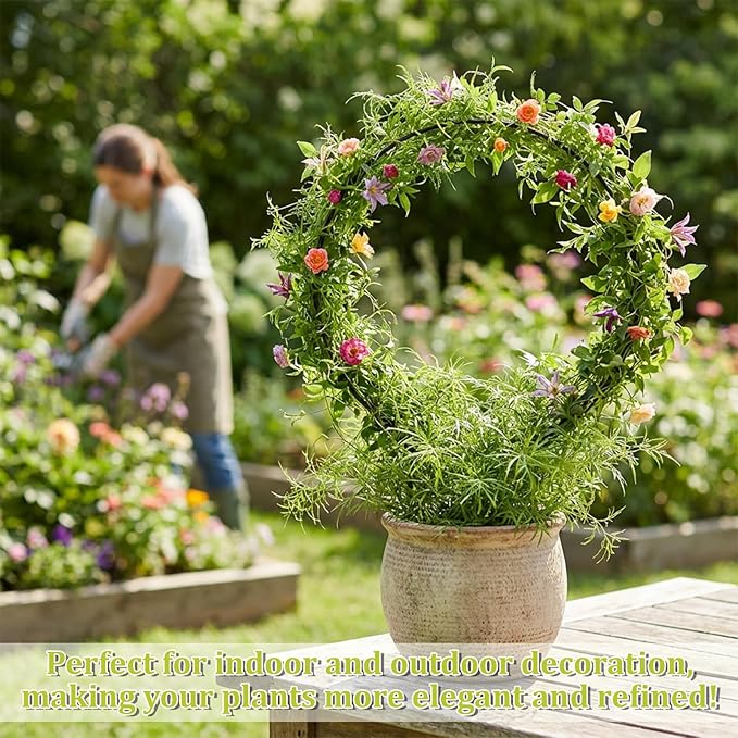 2 Pcs Trellis for Climbing Plants Indoor 14.5" Hoya Trellis Set Small Plant - Image 3