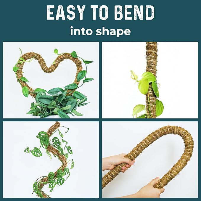 2 Pack 42'' Bendable Moss Pole Monstera Plant Support - Image 4